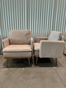 Modern Plush Upholstered Accent Chair